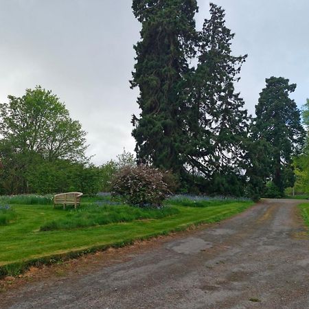 The Bungalow - Ardullie Lodge Dingwall Exterior photo